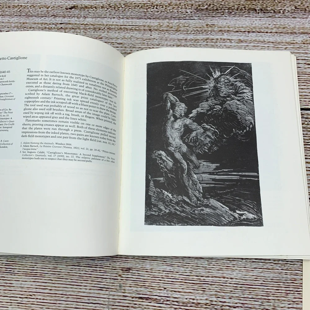 The Metropolitan Museum of Art painterly print